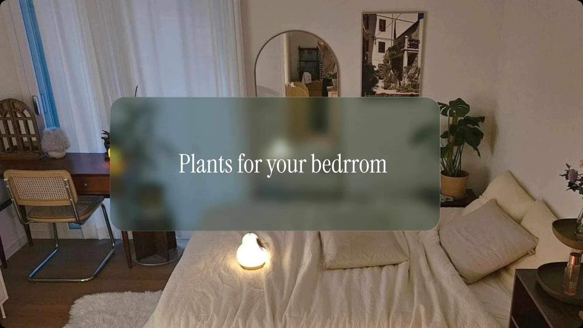 which-plant-is-good-for-bedroom-homeowners-guide